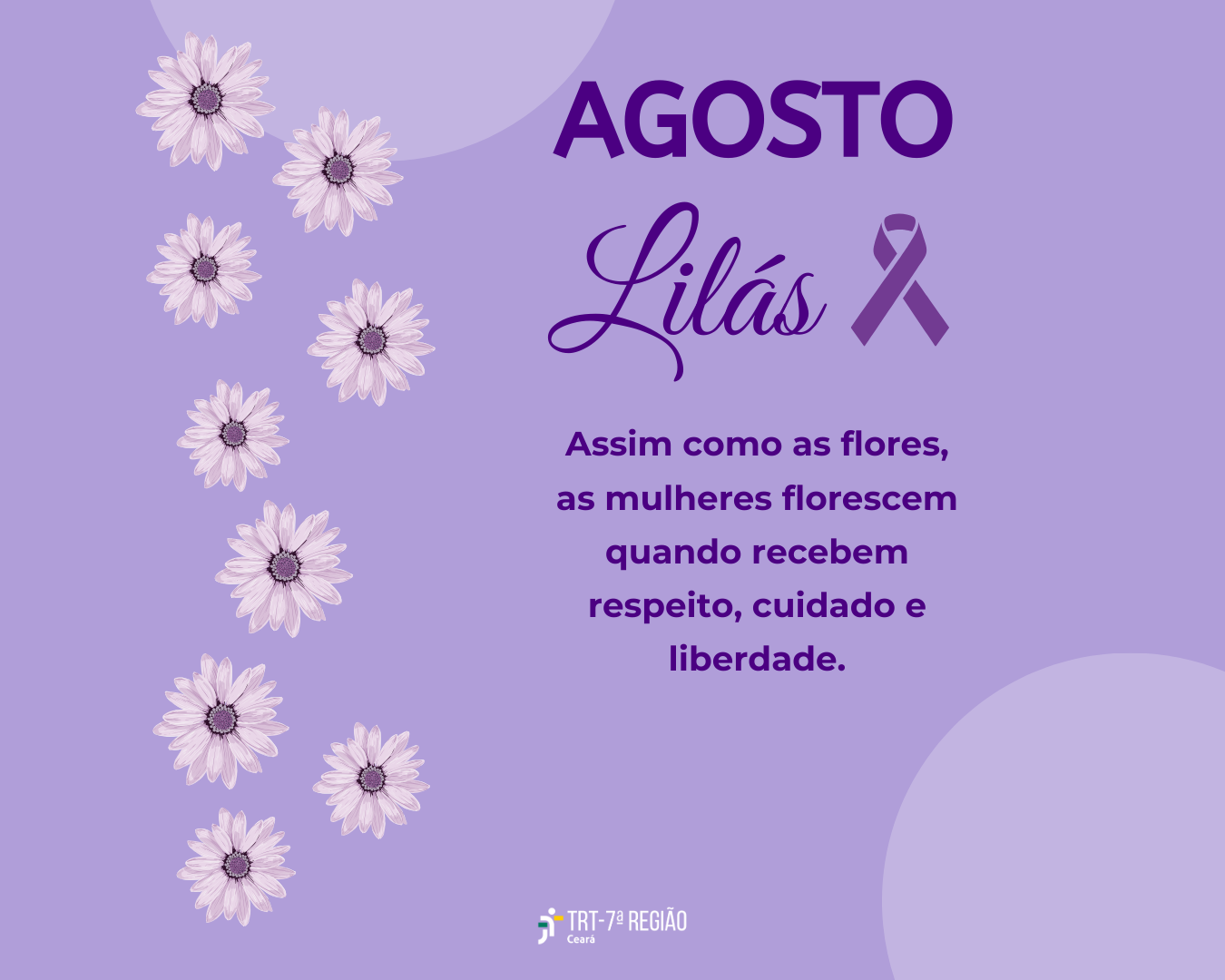 TRT-CE reforça a luta contra a violência doméstica no agosto lilás