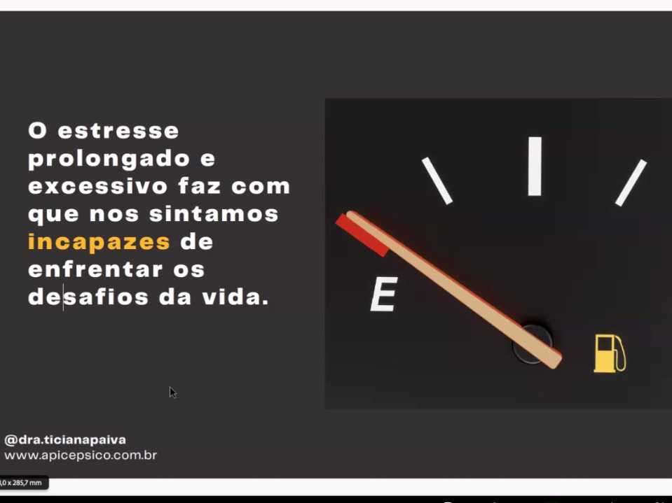 A tela de uma videoconferência exibe um slide de apresentação. Nele, a frase "O estresse prolongado e excessivo faz com que nos sintamos incapazes de enfrentar os desafios da vida" está sobre um fundo escuro, ao lado de um medidor de combustível que aponta para a letra "E" (vazio).