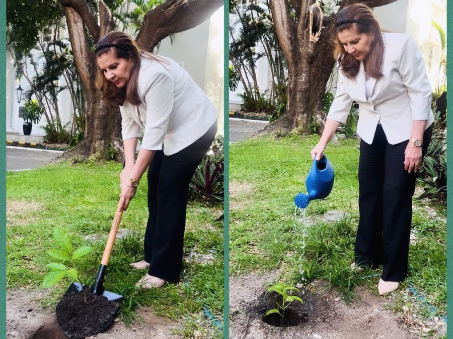 Uma imagem dividida em duas. Na foto da esquerda, uma mulher de meia-idade, com cabelos castanhos e uma tiara, vestindo um blazer claro e calças escuras, usa uma pá para plantar uma muda de árvore em um buraco na terra. Na foto da direita, a mesma mulher rega a muda recém-plantada com um regador azul. A cena acontece em um jardim gramado, com uma árvore grande ao fundo e folhagens variadas.