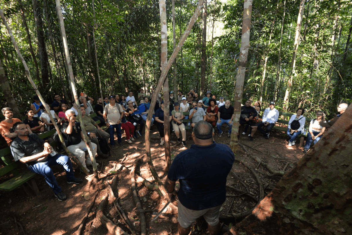 Uma grande plateia está sentada em bancos rústicos de madeira verde sob a sombra de árvores altas e finas, no interior de uma floresta densa. Em primeiro plano, um homem de costas, vestindo uma camiseta escura, se dirige ao grupo, em uma área com raízes salientes. A luz do sol penetra parcialmente pelo topo das árvores, iluminando a cena da reunião.