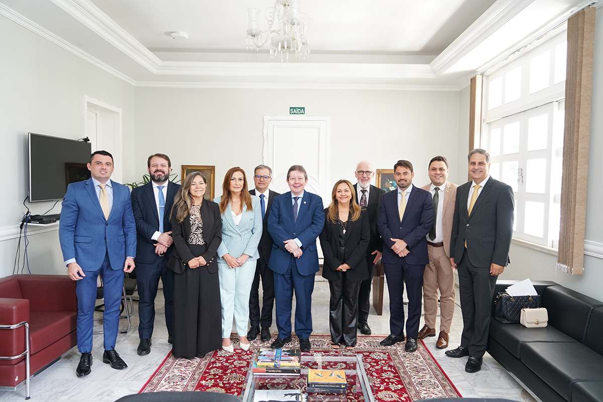Fotografia colorida em plano aberto de onze pessoas, oito homens e três mulheres, posadas lado a lado em uma sala de reuniões clara. O grupo, vestido com trajes formais como ternos e tailleurs, ocupa o centro da imagem sobre um tapete clássico vermelho com detalhes florais. Ao fundo, a sala apresenta paredes brancas com molduras decorativas, quadros pequenos, uma porta de saída e um lustre de cristal pendendo do teto.
