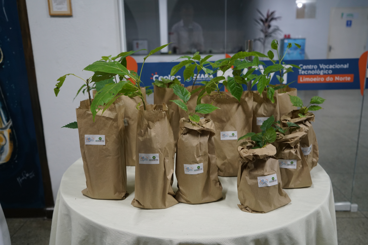 Fotografia em plano médio de diversas mudas de plantas com folhas verdes, dispostas sobre uma mesa redonda forrada com toalha clara. Cada muda está embalada individualmente em um saco de papel kraft pardo, contendo um pequeno adesivo de identificação na parte frontal. Ao fundo, avista-se uma porta de vidro transparente com a logomarca do Centro Vocacional Tecnológico de Limoeiro do Norte.