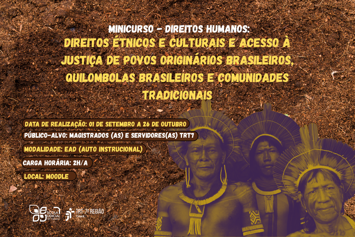 Minicurso - Direitos Humanos: direitos étnicos e culturais e acesso à justiça de povos originários brasileiros, quilombolas brasileiros e comunidades tradicionais