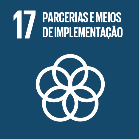 Imagem com o n. 17 e a frase "Parcerias e Meios de Implementação"